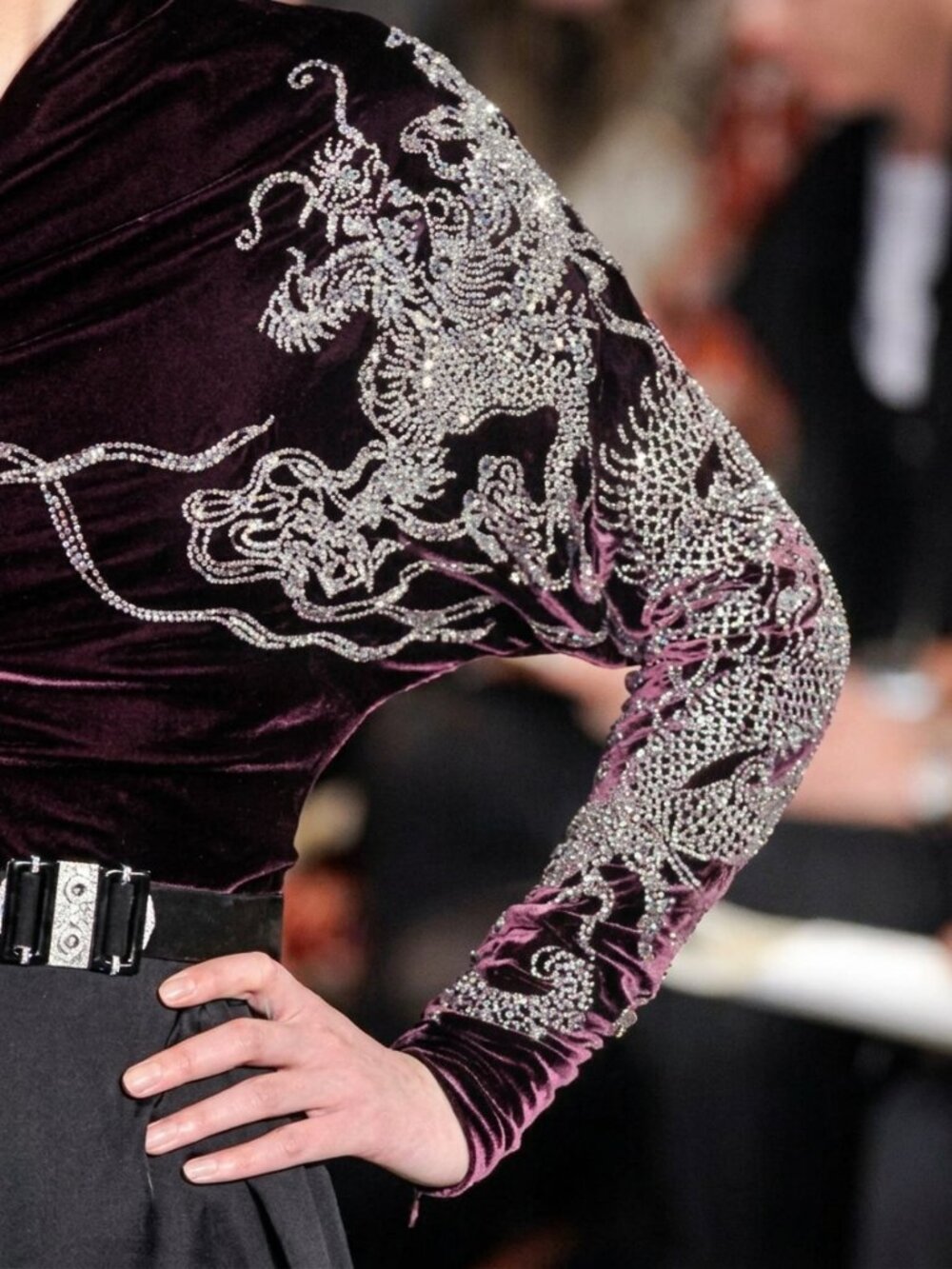 Ralph Lauren F/W 2011 One Sleeve Velvet Beaded Dragon Top 4